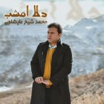 دانلود آهنگ جدید محمد شیخعلیشاهی به نام دلا امشب